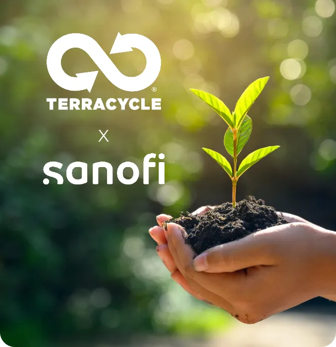 A dense forest illuminated by sunlight.